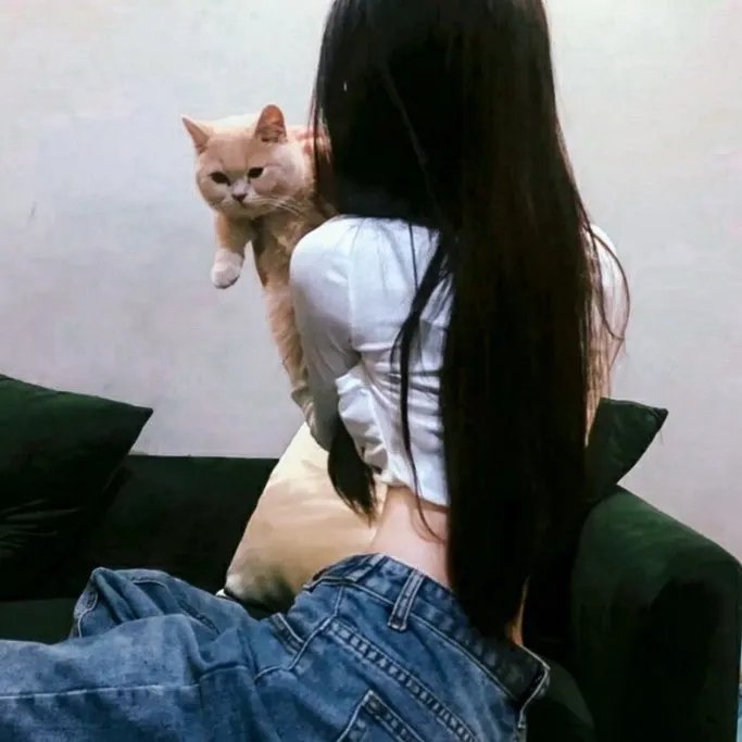 冒险兄弟第七季